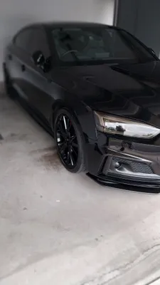 Front Bumper Restoration on Audi S5