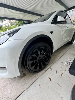 White Tesla Model Y showing self-cleaning ceramic coating properties in Buderim